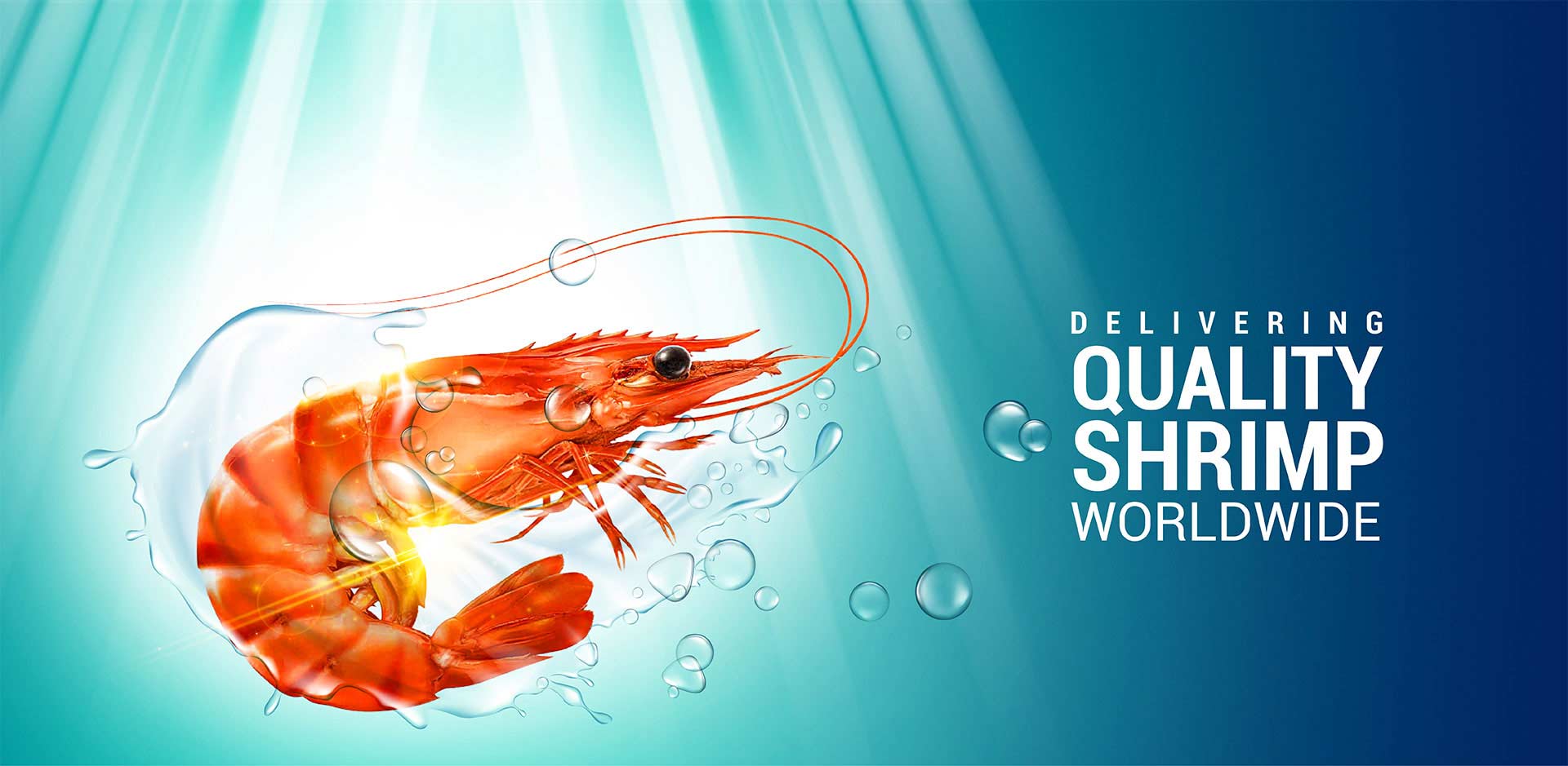 Delivering Quality Shrimp Worldwide