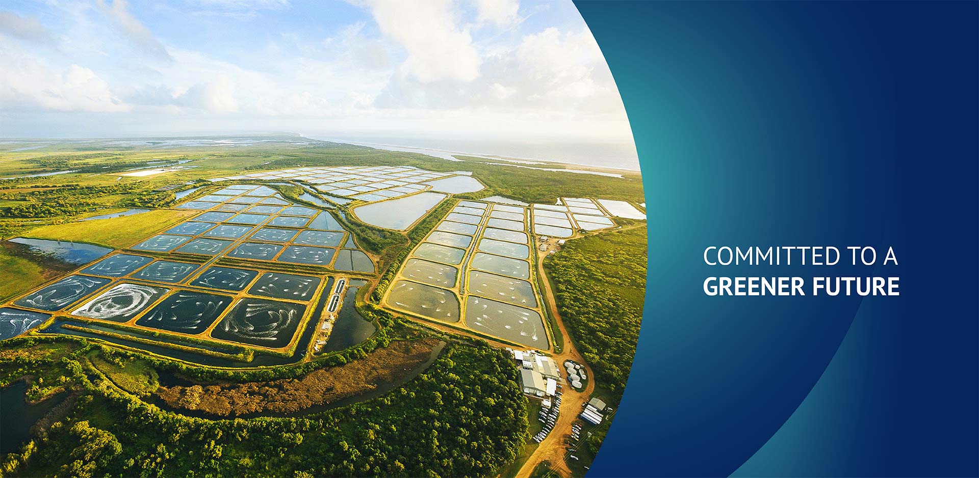 Commited To A Greener Future